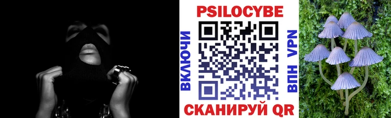 KRAKEN ссылка  Таштагол  Псилоцибиновые грибы Magic Shrooms 